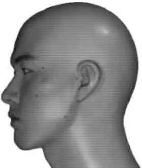 Fig.  4.  Face  Status  with  Land  Mark(Frontal  Side) Fig.  5.  Face  Status  with  Land  Mark(Lateral  Side)PC가 있다