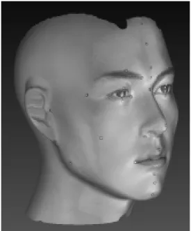 Fig. 7. Front Face Image Scanned by 3D-AFRA Fig.  8.  Lateral  Face  Image  Scanned  by  3D-AFRA