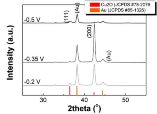 Fig. 4. XRD patterns of Cu 2 O thin films with different applied potential on working electrode.