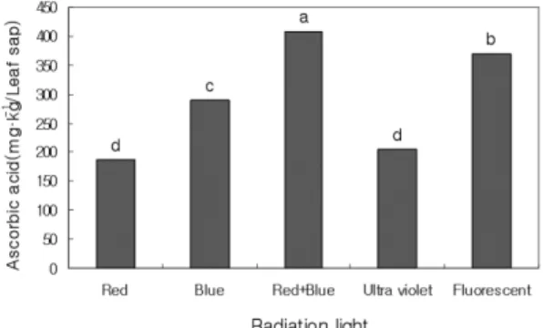 Fig. 4. Ascorbic acid content of ‘Lollo Rosa’ lettuce under different radiation lights.