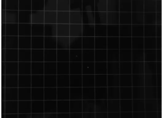 Fig.  1.  3차원 안면자동인식기    Fig.  2.  Calibrator최근에는 광학적 사진계측을 통하여 얻은 평면상의 얼굴 디지털 사진을 가지고 특이점을 계측함으로써 안면 형상에 대한 부분적인 정량화가 가능해졌다
