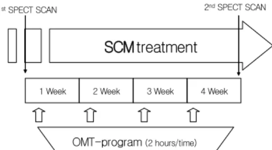 Fig.  1.  Protocol  of  OMT-program  Based  on  SCM