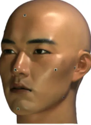 Fig. 1. Face Satus
