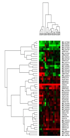 Table 4. The Gene List which is Classified with the Taeumin, Soeumin and Soyangin