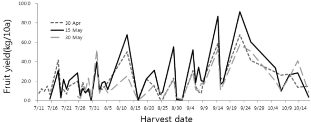 Fig. 3. Yield change due to harvest date of okra fruit as affected by sowing time.