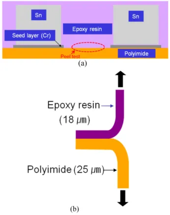 Fig. 1. A schematic illustration of (a) cross-sectioned epoxy resin/