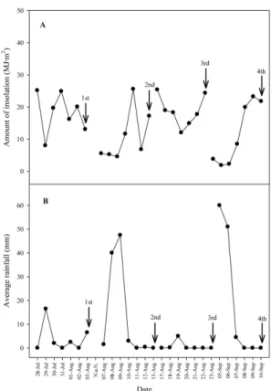 Table 1. Head weight (g) in various cultivars of cabbage cultivated from different date on high land in summer 2007.