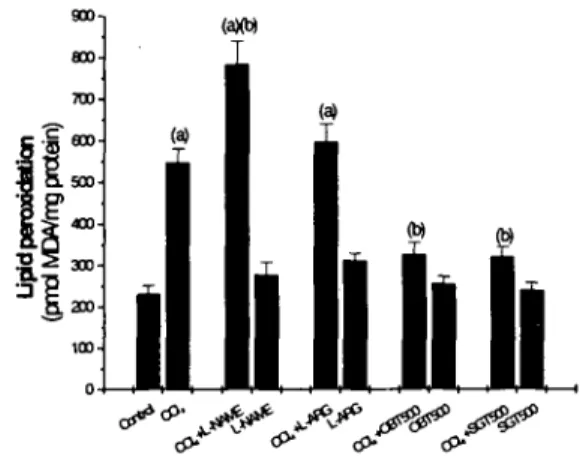 Fig. 2. Effect of L-NAME. AG. L-ar 밍띠ne