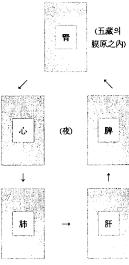 표 7. 衛氣의 個環에 대한 模式圖 陽짧주陰( 目 朋) 足太짧짧上  ‘-/ ＼ 陰굉lif없끓팀開) 手太陽훌t 추陽Ii)}짧上 (훌 ι足少짧짧上 足陽Ii)}짧上( 、 / 手少훌짧上 - 사상채질의학회지 제 15 권 제 2 효 2003 -衛氣순환의원동력은原氣의 영향력아래서宗氣에서 받고 個行은自力으로 이루어지는데팀開하면 牌氣가 커져 衛氣가歸腦짚의뻐表나 皮I혐分肉之間으로나오며 ,目閒하면手足三陽經의JIll表皮I협分肉之問을 行하던 衛氣가 뽑으로 들어오므로딸氣가 커지고