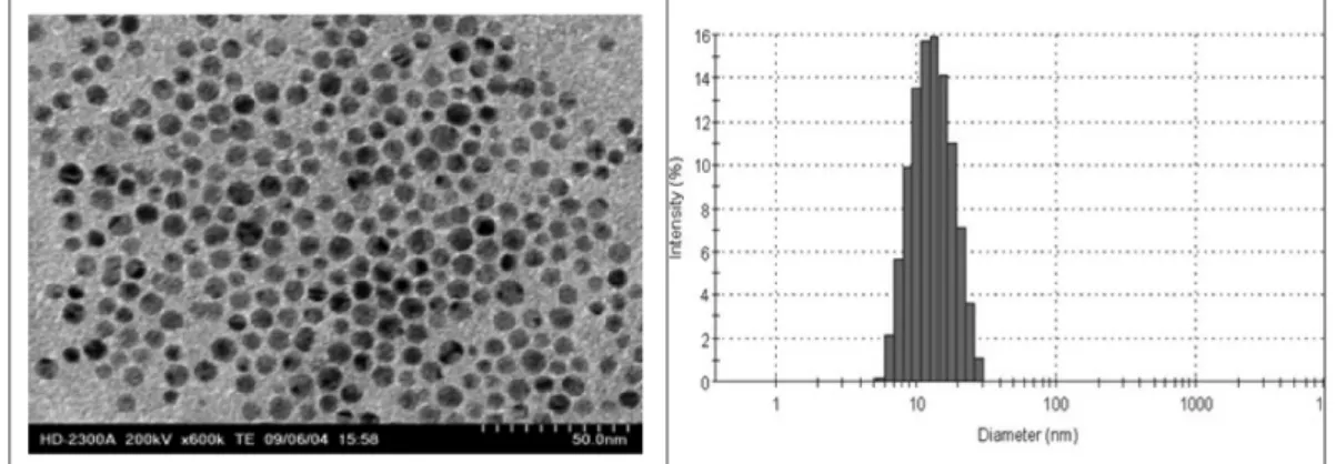 Fig. 2. TEM phtograph and distribution of silver nano particles.