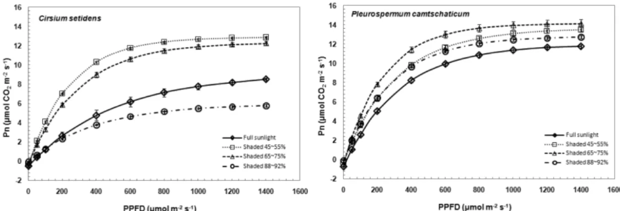 Fig. 3. Light response curves of C. setidens and P. camtschaticum grown under four different shading treatments.