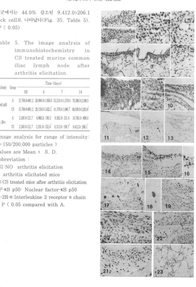 Table 5. The image analysis of