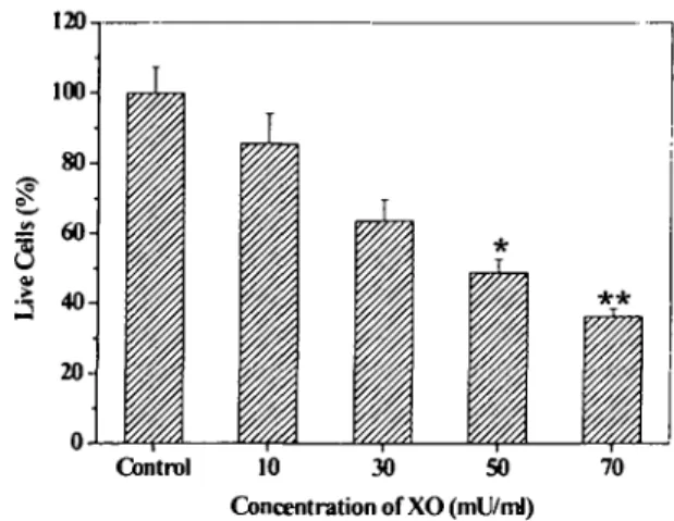 Fig. 3. llise-response relationships of xanthine