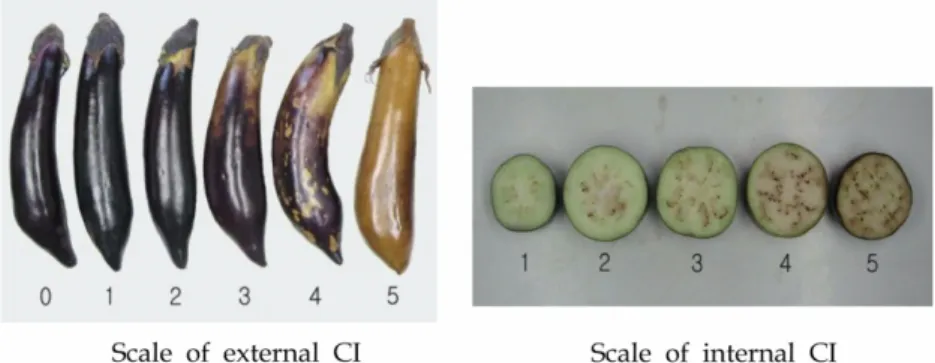 Fig. 1. Numerical scores of external or internal chilling injury in eggplants.