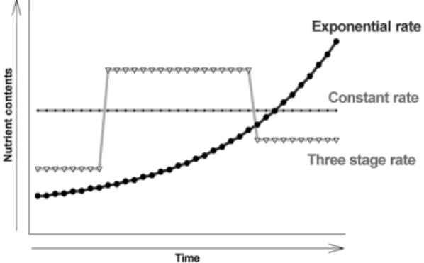 Fig. 1. Change of nutrient contents applied for container seedling of L. kaempferi by Constant, Three stage, and Exponential fertilizations for 11 weeks.