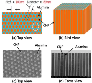 Fig. 5. The fabrication process of inprganic anisotropic conductive film composed of ultra-high density CNP in alumina substrate.