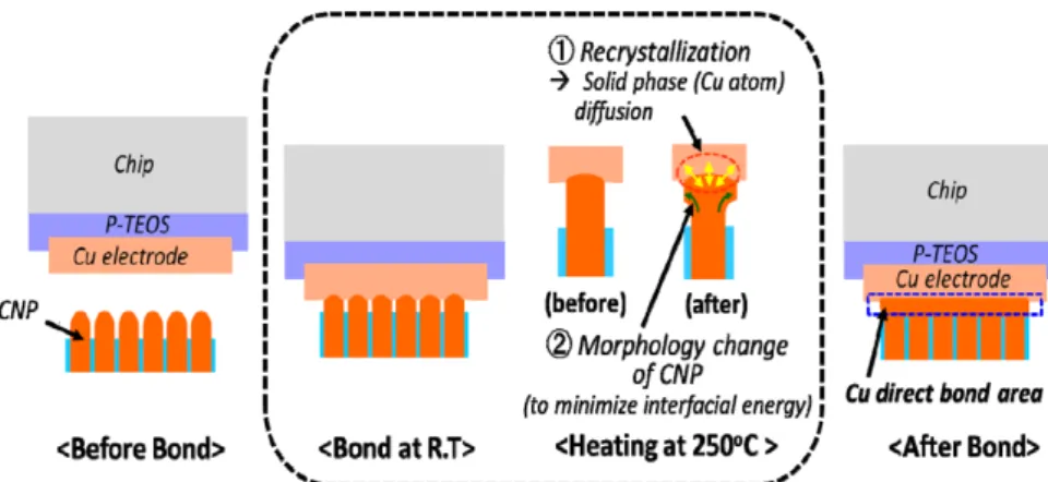 Fig. 7. The fabrication process flow of TEG module by new reconfigured W2W hybrid bonding using anisotropic conductive film com- com-prising high density CNP and chip-self assembly.