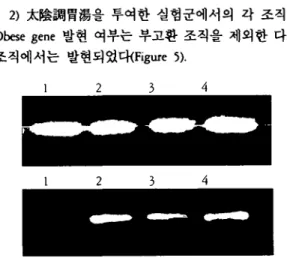 Figure 7-1. AT -PCA of TNF a mANA on LF treated