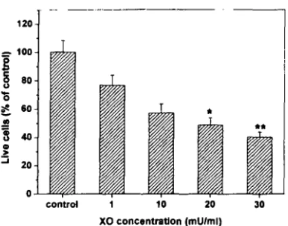 Fig. 1. Dose-dependency of Xanthine Oxidase(XO).