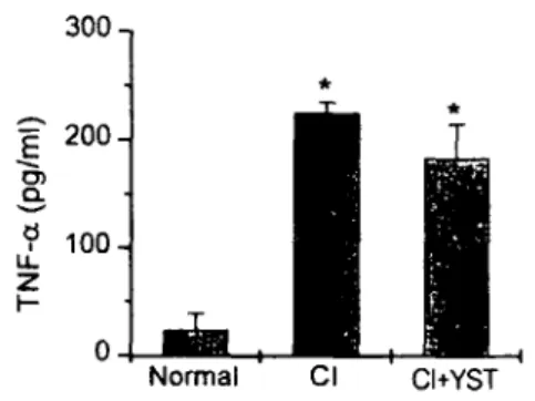 Fig. 5. Effect 이 YST on plasma IgE level. YST was