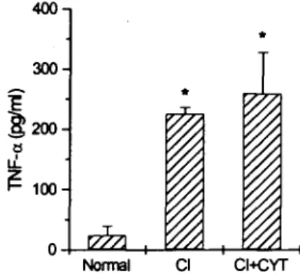 Fig. 4. Effect 이 CYT on plasma IL컨 level. CYT was