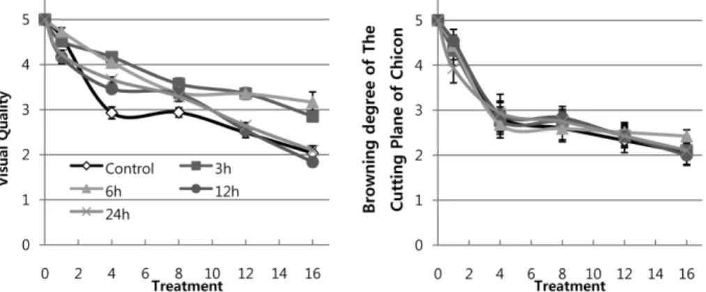 Fig. 5. Visual quality and Browning degree of chicon cutting plane of chicon that prepared cut-off the water treatment: the durations were 0 hour, 3 hours, 6 hours, 12 hours, and 24 hours and then packaged with breathable film that has 10,000 cc/