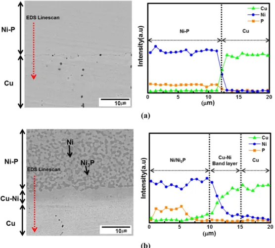 Fig. 5. Cross-sectional SEM images and EDS linescan analysis of electroless Ni/Cu substrate: (a) as-plated, and (b) after heat treatment at 750 o C for 6 h.