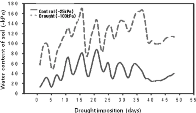 Fig. 2. Effect of drought imposition on the fruit morphol- morphol-ogy of L. esculentum.