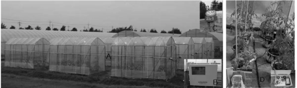 Fig. 1. View of experimental small greenhouses (A), a side-window controller (B), a rain sensor (C), and tomato and pepper potted-plants grown by automatic irrigation system based on soil moisture contents (D).