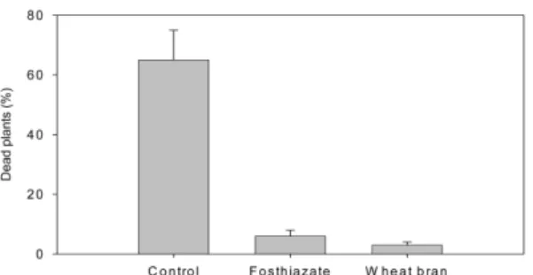 Fig. 4. Plant growth affected by anaerobic fermentation of wheat barn and fosthiazate in the soil infested with Meloidogyne spp