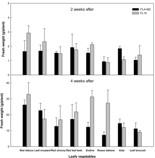 Fig. 4. Fresh weight of leafy vegetables grown in the container-type plant factory as affected by different light sources