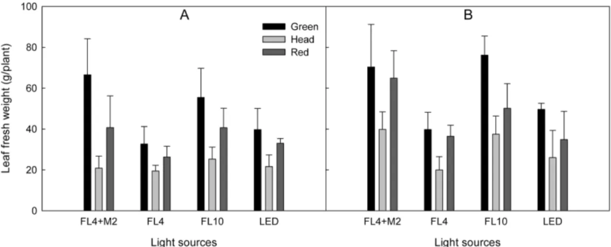 Fig. 6. Leaf area of lettuce grown in the container-type plant factory as affected by different light sources and growing tem- tem-perature