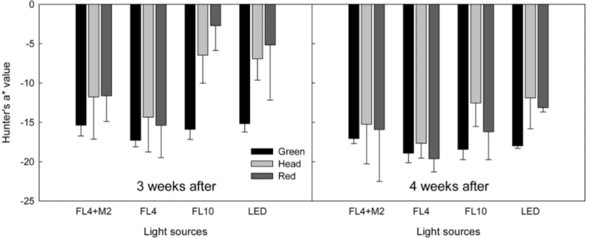 Fig. 8. Hunter’s a* value of lettuce grown in the container-type plant factory as affected by different light sources