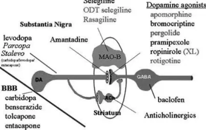 Table 4. Medications available for Parkinson's disease