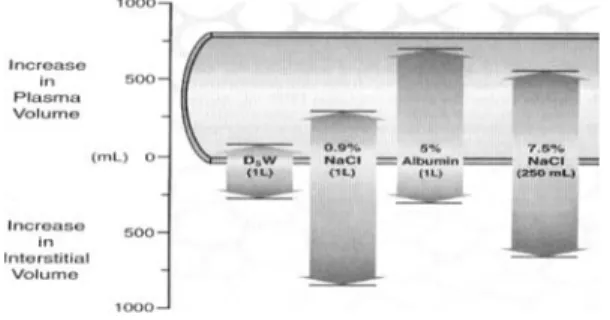 Table 1. Saline versus albumin fluid evaluation (SAFE study)