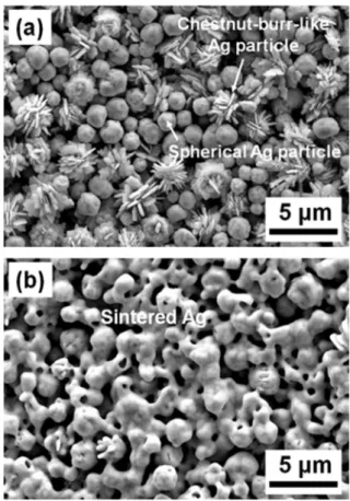 Fig. 8. SEM images of micro-sized Ag particles: (a) before sintering and (b) after sintering.
