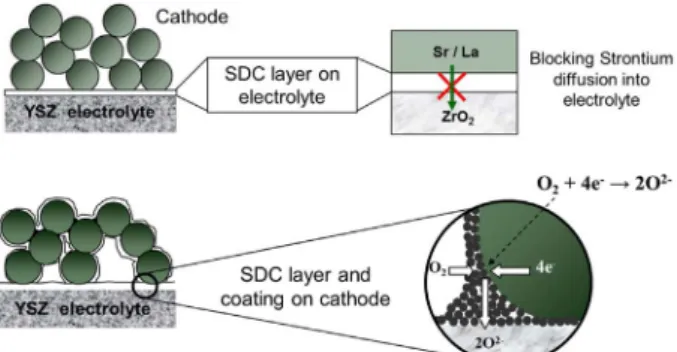 Fig. 2.  Fabrication procedure of LSMCu. Fig. 3.  Schematic configuration of experimental.
