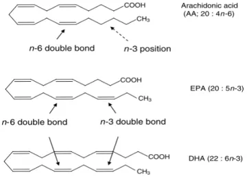 Fig. 1 Basis for n-3 and n-6 fatty acid designation 4)