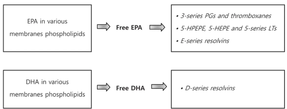 Fig. 4 Overview of the lipid mediator synthesis from EPA and DHA 5)