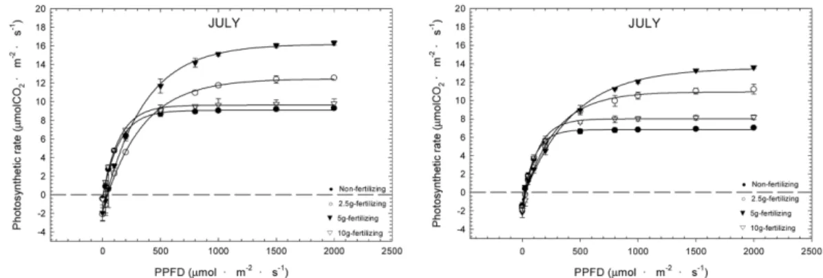 Fig. 4.  Effect of fertilizing treatment on the photosynthetic rate of  Ligularia stenocephala  (left; full sun, right; 35~42 of full sun).