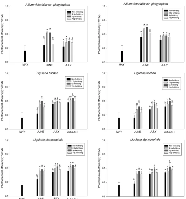Fig. 5.  Changes of Chlorophyll fluorescence in the three wild vegetables under different fertilizing treatment (left; full sun, right; 35~42% of full sun)