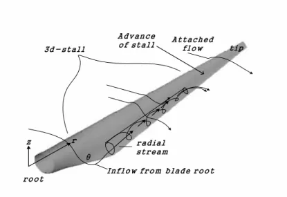 Fig.  5.6  Sketch  of  3-D  stall  at  blade  surface