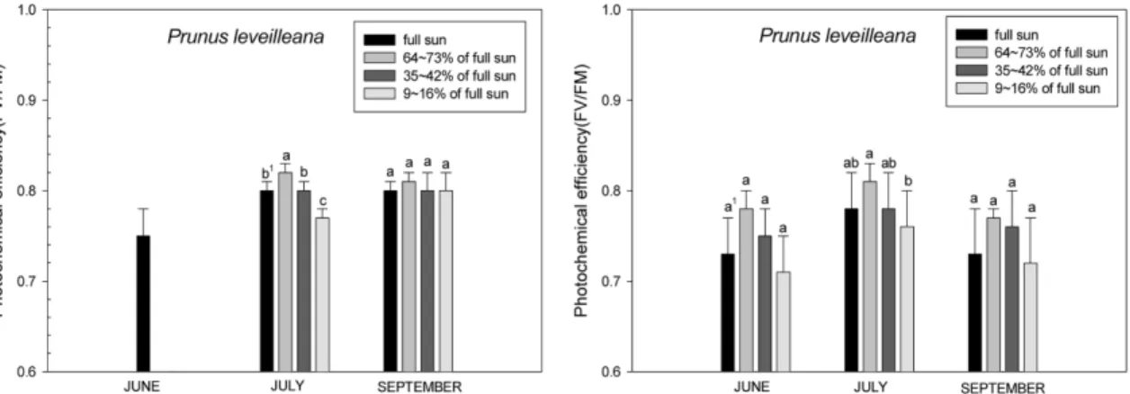 Fig. 6.  Changes of Chlorophyll fluorescence in the  Prunus leveilleana  under different shading treatment (left; 2007, right;