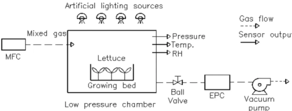 Fig. 1.  Schematic diagram of a low pressure chamber for plant growth with the flow of mixed gas.
