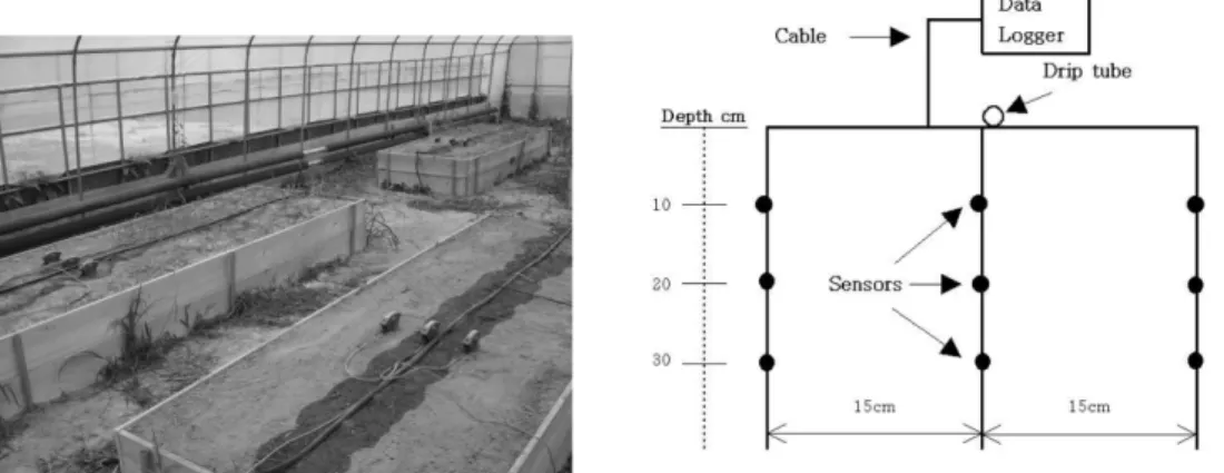 Fig. 1.  Photos of soil moisture and potential sensors and irrigation tubes installed in the experimental station (left) and sche- sche-matic of the location of soil moisture sensors and universal data logger used in the study (right).