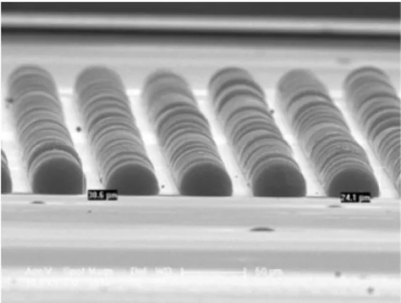 Fig. 4. SEM image of fully formed SAC SoPs on the 6724 Cu pads. 