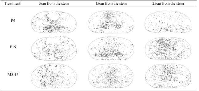 Table 1.  Root distribution in perlite bag according to different dripper positions.