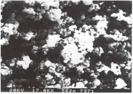 Fig.  2.4.1  SEM  micrograph  of  NiCu  nano-powder