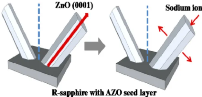 Fig. 1. Sodium Citrate  전구체에 대한 ZnO 구조체 성장 거동