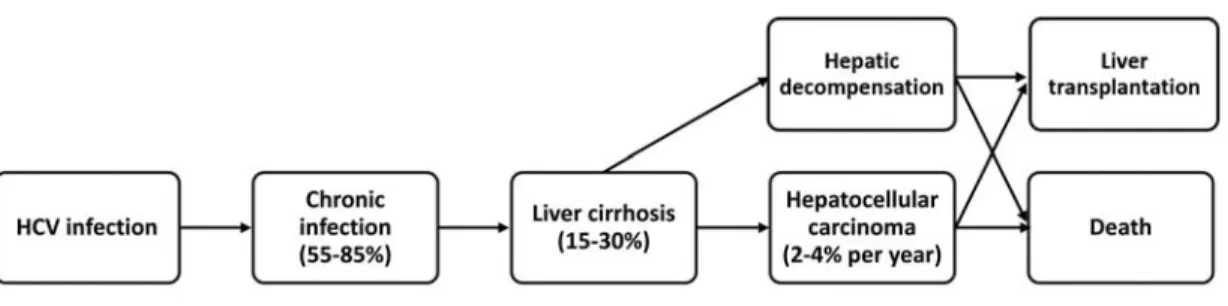 Fig. 2 DAA and corresponding sites of HCV gene 16)